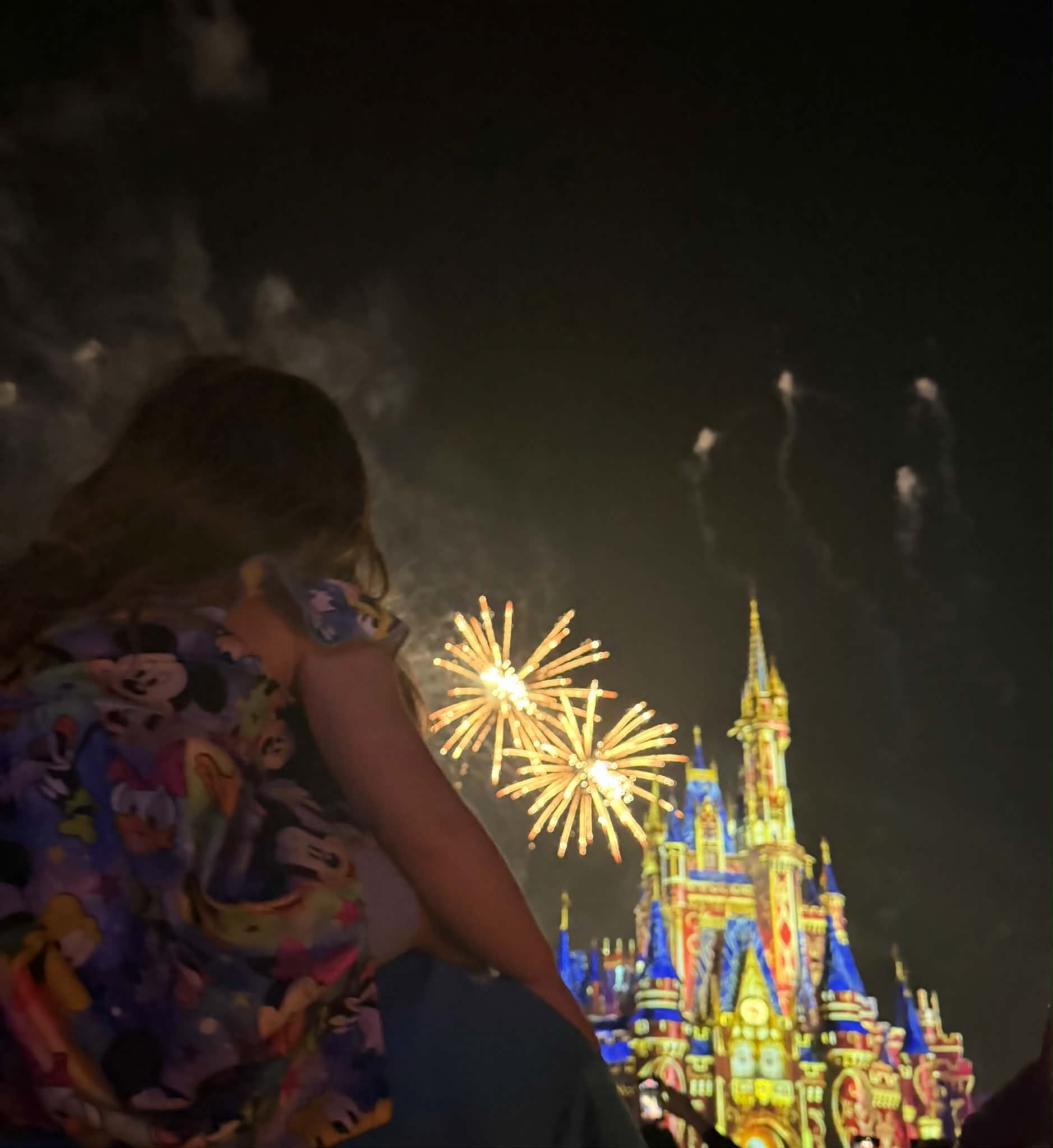 Byron watching fireworks with daughter